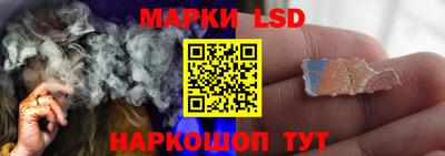 мдпв Донской