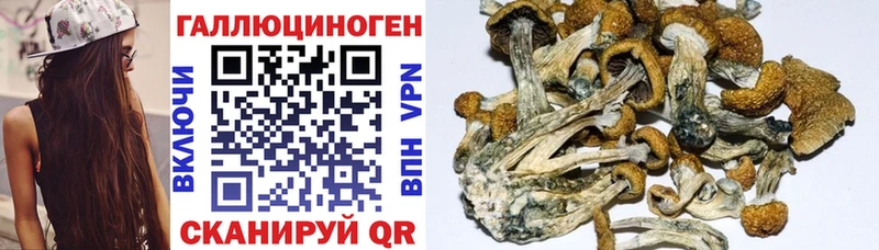 Галлюциногенные грибы прущие грибы  как найти закладки  Моздок 