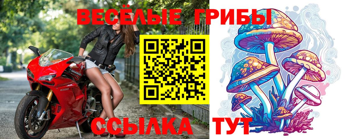 Галлюциногенные грибы Psilocybine cubensis  наркошоп  Моздок  Вход с VPN  Галлюциногенные грибы мицелий 