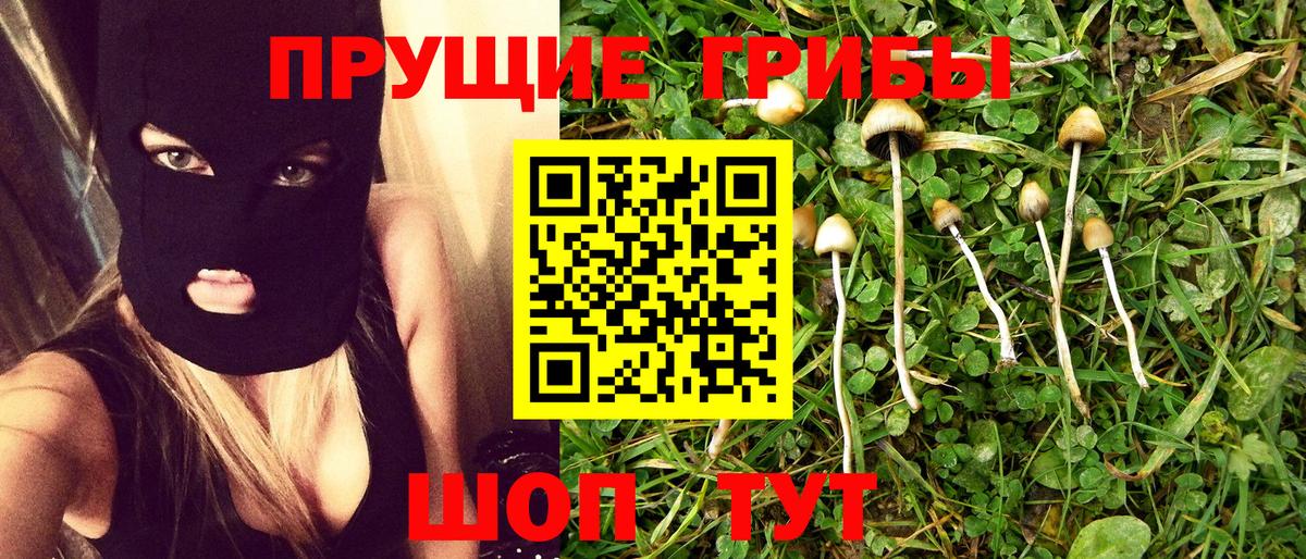Псилоцибиновые грибы MAGIC MUSHROOMS Моздок